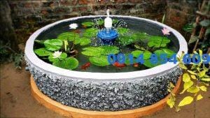 Hồ cá xi măng mini