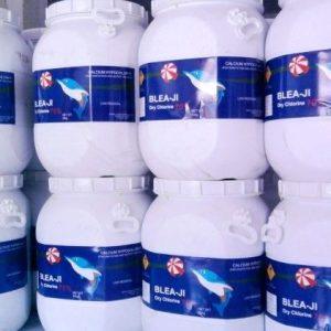 Clo cá heo Trung Quốc