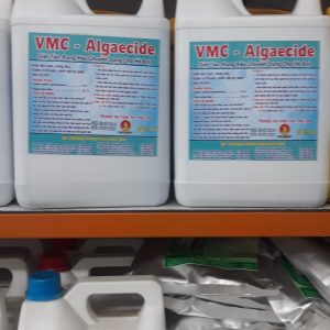 Hóa chất diệt xử lý rong rêu hồ bơi Purex Algaecide