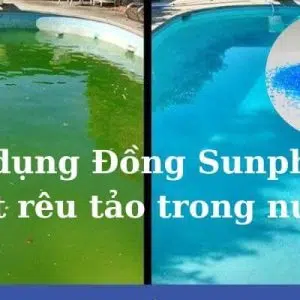 Đồng sunphat tiêu diệt rêu tảo bể bơi