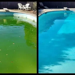 Đồng sunphat tiêu diệt rêu tảo bể bơi