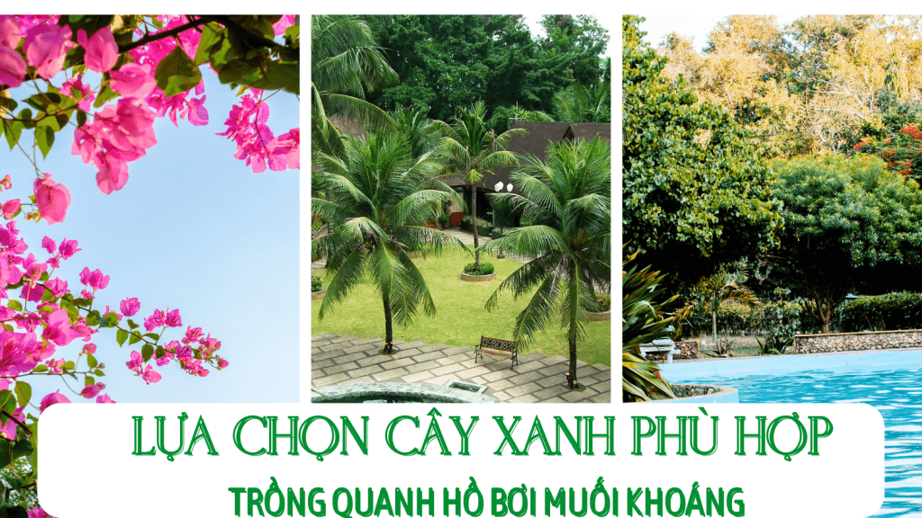 Lựa chọn cây xanh phù hợp trồng quanh hồ bơi muối khoáng