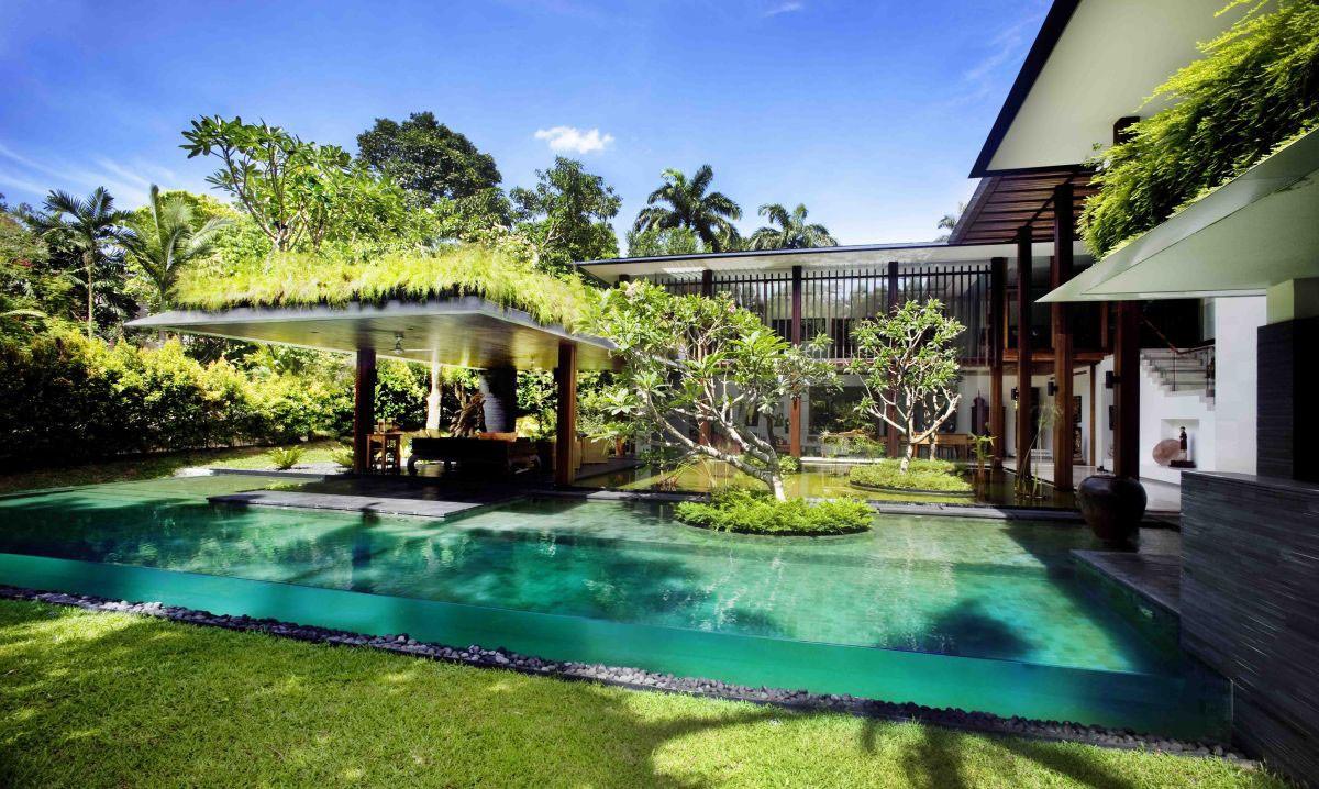 Lựa chọn cây xanh phù hợp trồng quanh hồ bơi muối khoáng