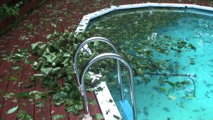 Làm sao để xử lý nước hồ bơi bị đọng bùn sau mưa lớn?