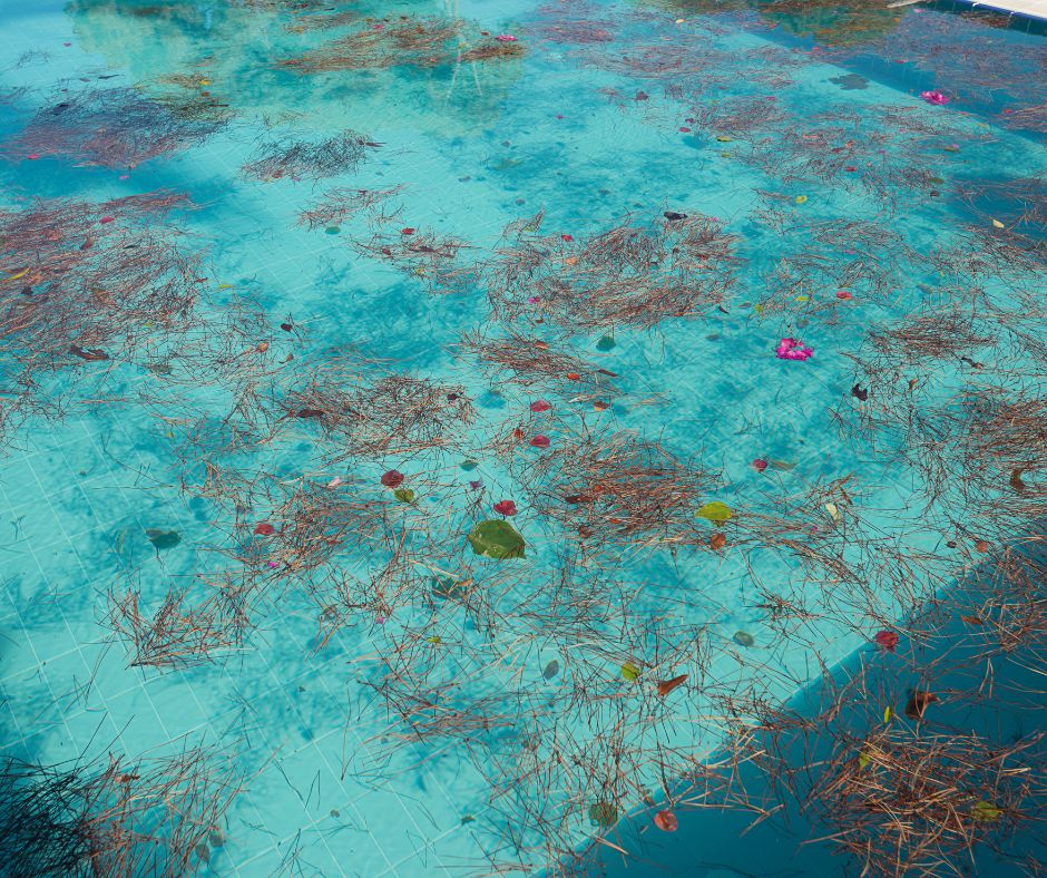 Làm sao để xử lý nước hồ bơi bị đọng bùn sau mưa lớn?