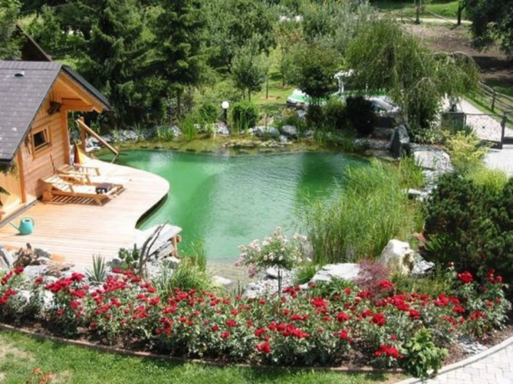 xây dựng hồ bơi sinh thái