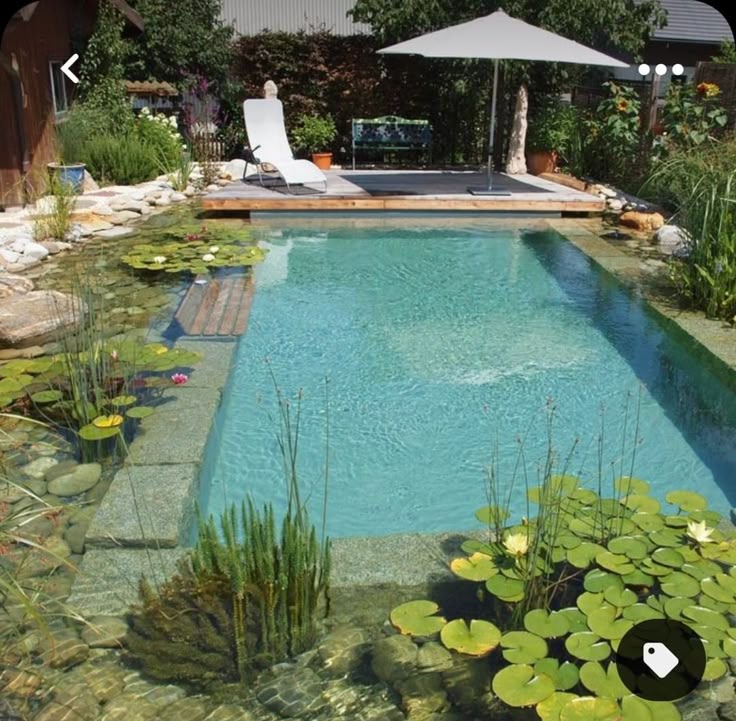 xây dựng hồ bơi sinh thái